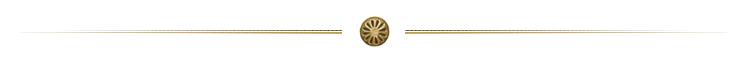Grafische Trennline von Inhalten, bestehend aus einer goldenen Niete und Linien